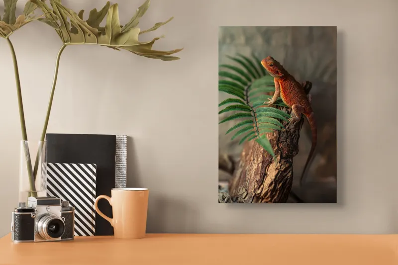 Tablou Canvas, "Dragon de foc pe trunchi vechi", Șopârlă, Trunchi, Frunze, Verde, Textură, Natural, Reptilă, Detalii, Lumină, Eșantion., 26 x 39 cm – poza 3