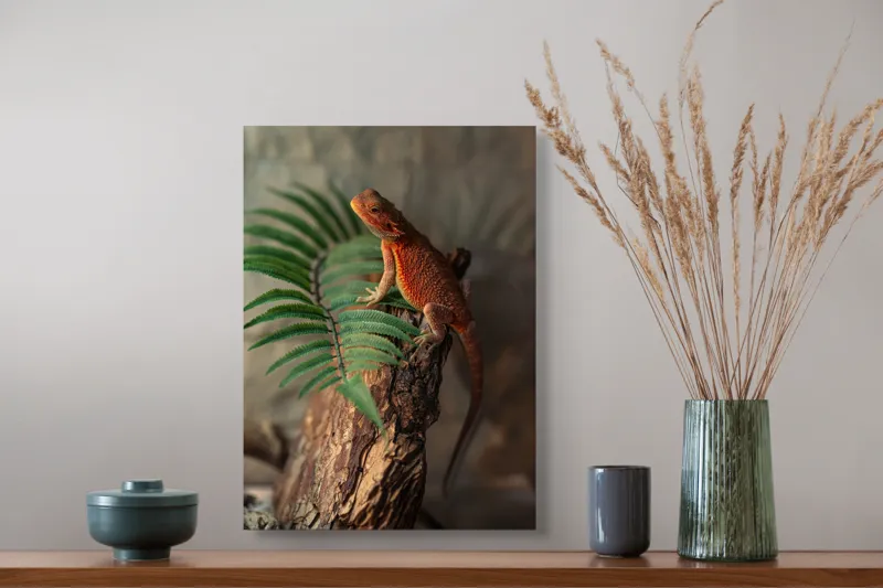 Tablou Canvas, "Dragon de foc pe trunchi vechi", Șopârlă, Trunchi, Frunze, Verde, Textură, Natural, Reptilă, Detalii, Lumină, Eșantion., 39 x 54 cm – poza 3