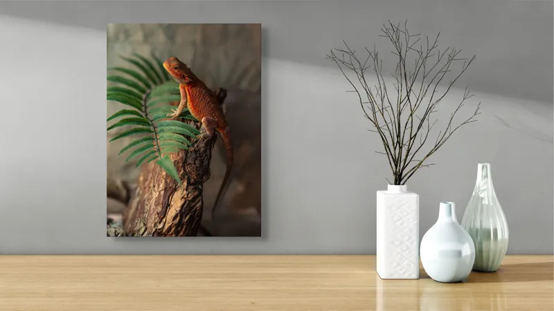 Tablou Canvas, "Dragon de foc pe trunchi vechi", Șopârlă, Trunchi, Frunze, Verde, Textură, Natural, Reptilă, Detalii, Lumină, Eșantion., 39 x 54 cm – poza 4