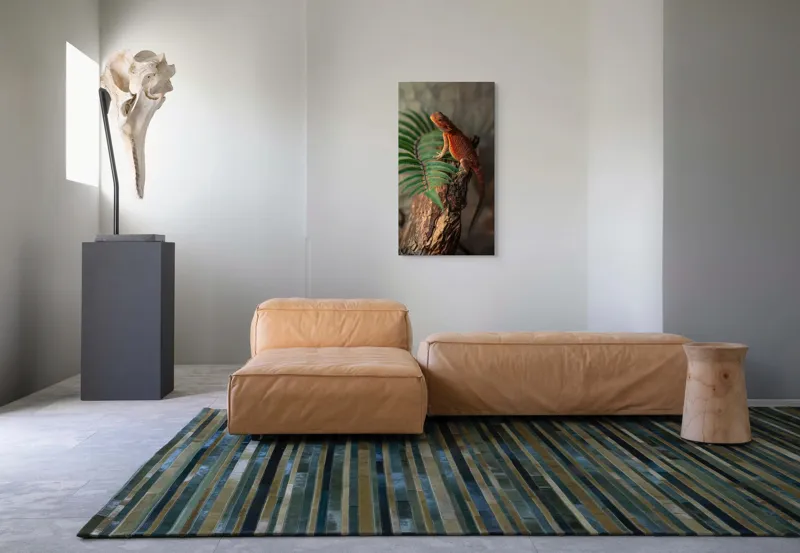 Tablou Canvas, "Dragon de foc pe trunchi vechi", Șopârlă, Trunchi, Frunze, Verde, Textură, Natural, Reptilă, Detalii, Lumină, Eșantion., 50 x 90 cm – poza 5