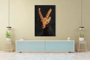 Tablou Canvas, "Capra neagră în lumina apusului", 100 x 150 cm – poza 4