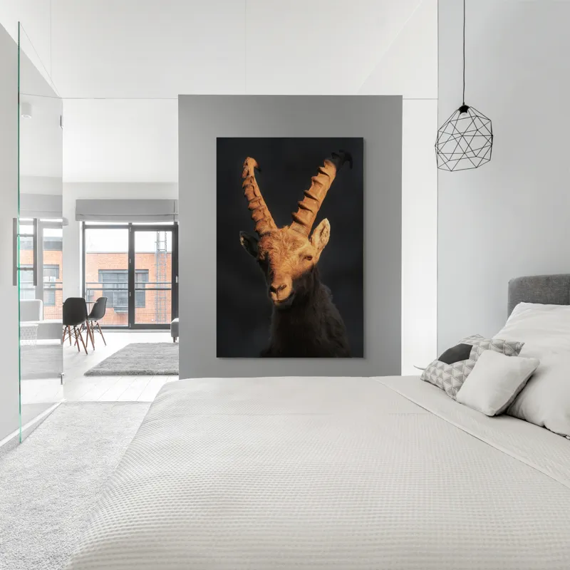 Tablou Canvas, "Capra neagră în lumina apusului", 100 x 150 cm – poza 5
