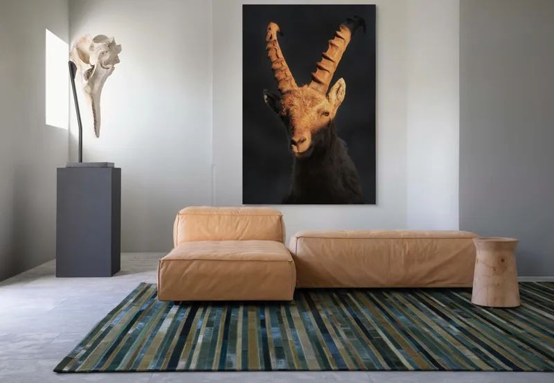 Tablou Canvas, "Capra neagră în lumina apusului", 100 x 150 cm – poza 7