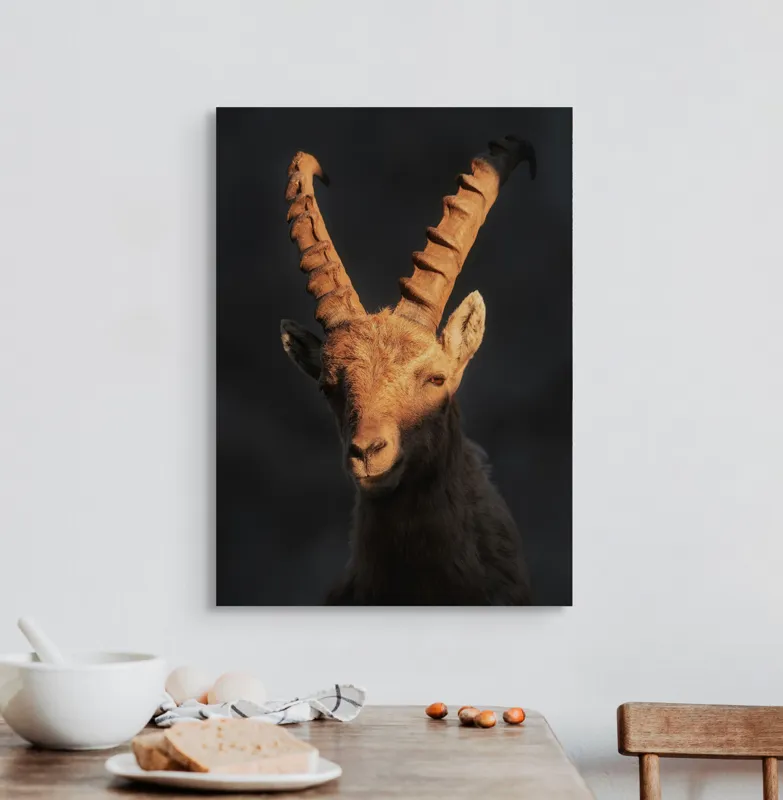 Tablou Canvas, "Capra neagră în lumina apusului", 50 x 70 cm – poza 3