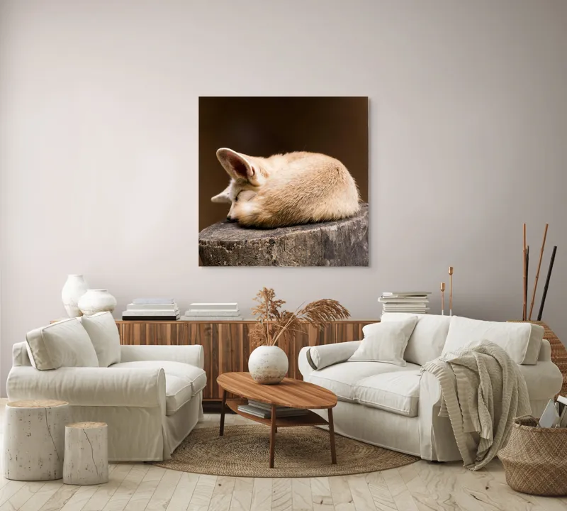 Tablou Canvas, "Vulpea adormită pe buștean cafeniu", Adormit, Vulpe, Coadă, Urechi, Lemn, Blană, Somn, Calm, Blând, Natură, 100 x 100 cm – poza 3