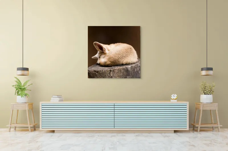 Tablou Canvas, "Vulpea adormită pe buștean cafeniu", Adormit, Vulpe, Coadă, Urechi, Lemn, Blană, Somn, Calm, Blând, Natură, 100 x 100 cm – poza 5