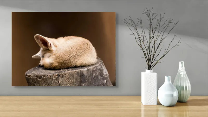 Tablou Canvas, "Vulpea adormită pe buștean cafeniu", Adormit, Vulpe, Coadă, Urechi, Lemn, Blană, Somn, Calm, Blând, Natură, 70 x 50 cm – poza 3