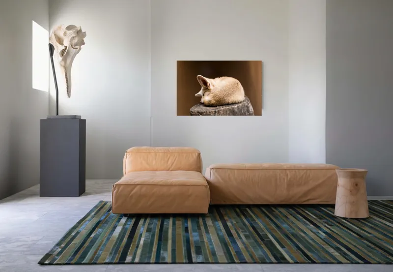 Tablou Canvas, "Vulpea adormită pe buștean cafeniu", Adormit, Vulpe, Coadă, Urechi, Lemn, Blană, Somn, Calm, Blând, Natură, 90 x 50 cm – poza 8