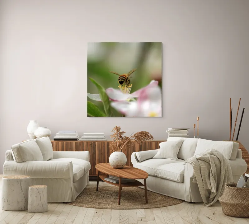 Tablou Canvas, "Albină pe floare primăvăratică", Alb, Delicat, Polenizare, Verde, Natura, Fragil, Aripi, Primavara, Foioase, Nectar., 100 x 100 cm – poza 3