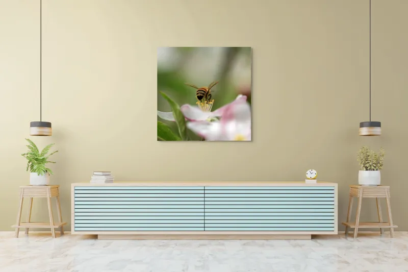 Tablou Canvas, "Albină pe floare primăvăratică", Alb, Delicat, Polenizare, Verde, Natura, Fragil, Aripi, Primavara, Foioase, Nectar., 100 x 100 cm – poza 5