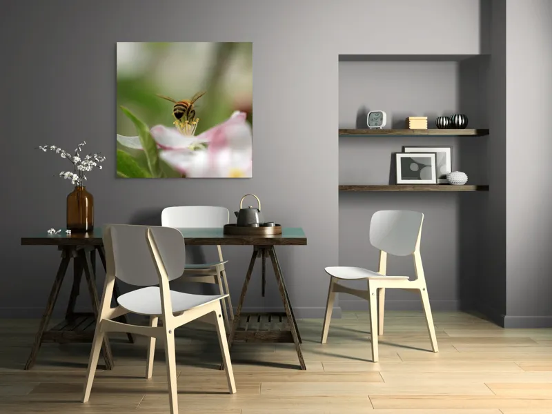 Tablou Canvas, "Albină pe floare primăvăratică", Alb, Delicat, Polenizare, Verde, Natura, Fragil, Aripi, Primavara, Foioase, Nectar., 100 x 100 cm – poza 6