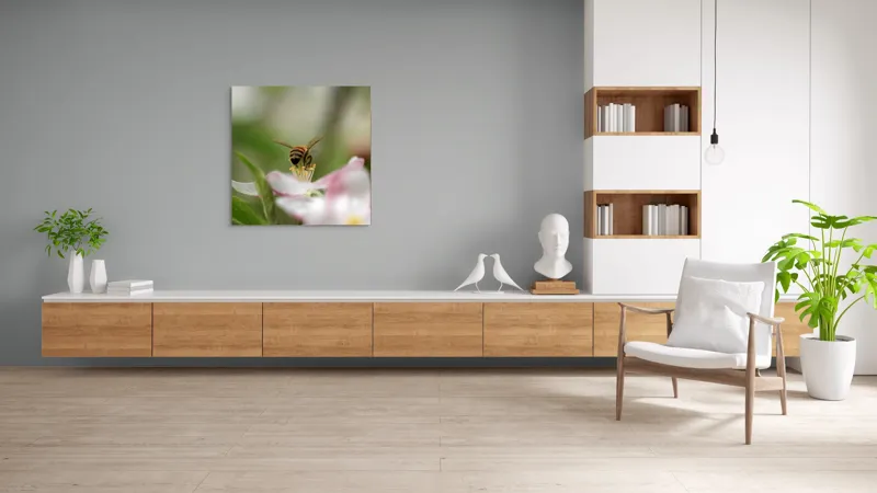 Tablou Canvas, "Albină pe floare primăvăratică", Alb, Delicat, Polenizare, Verde, Natura, Fragil, Aripi, Primavara, Foioase, Nectar., 100 x 100 cm – poza 8