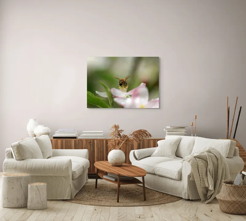 Tablou Canvas, "Albină pe floare primăvăratică", Alb, Delicat, Polenizare, Verde, Natura, Fragil, Aripi, Primavara, Foioase, Nectar., 100 x 70 cm – poza 3