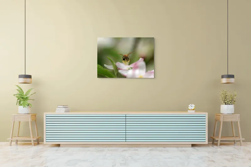 Tablou Canvas, "Albină pe floare primăvăratică", Alb, Delicat, Polenizare, Verde, Natura, Fragil, Aripi, Primavara, Foioase, Nectar., 100 x 70 cm – poza 4