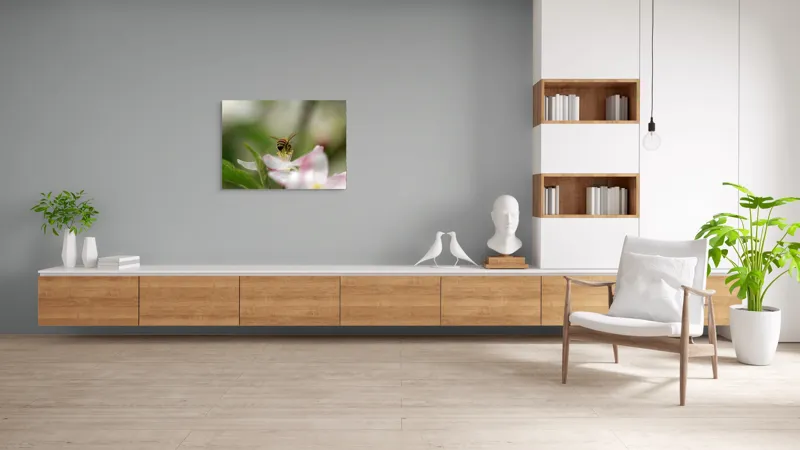 Tablou Canvas, "Albină pe floare primăvăratică", Alb, Delicat, Polenizare, Verde, Natura, Fragil, Aripi, Primavara, Foioase, Nectar., 100 x 70 cm – poza 6