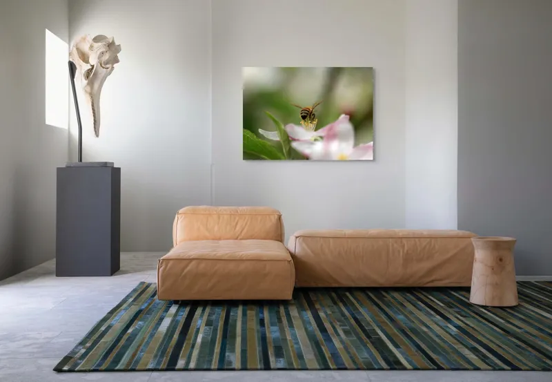 Tablou Canvas, "Albină pe floare primăvăratică", Alb, Delicat, Polenizare, Verde, Natura, Fragil, Aripi, Primavara, Foioase, Nectar., 100 x 70 cm – poza 7