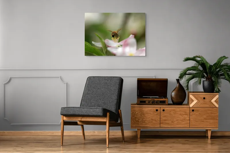 Tablou Canvas, "Albină pe floare primăvăratică", Alb, Delicat, Polenizare, Verde, Natura, Fragil, Aripi, Primavara, Foioase, Nectar., 100 x 70 cm – poza 8