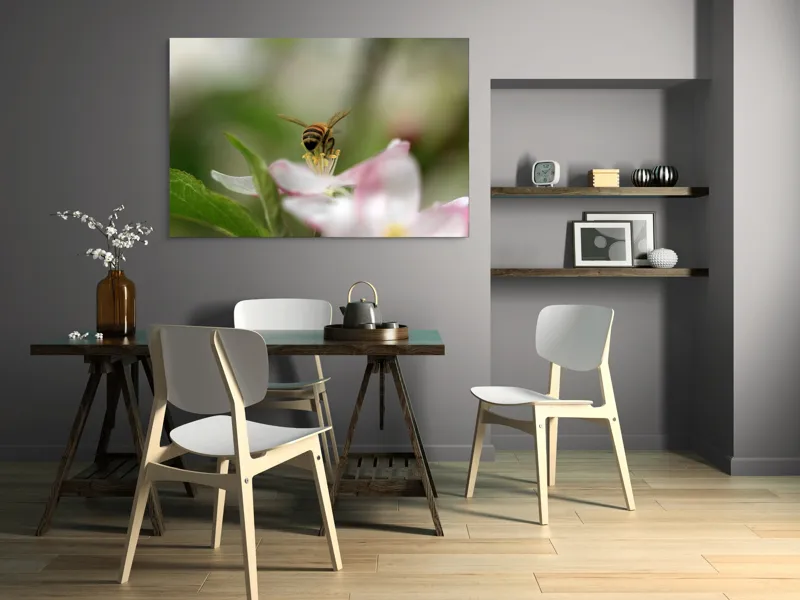 Tablou Canvas, "Albină pe floare primăvăratică", Alb, Delicat, Polenizare, Verde, Natura, Fragil, Aripi, Primavara, Foioase, Nectar., 150 x 100 cm – poza 5
