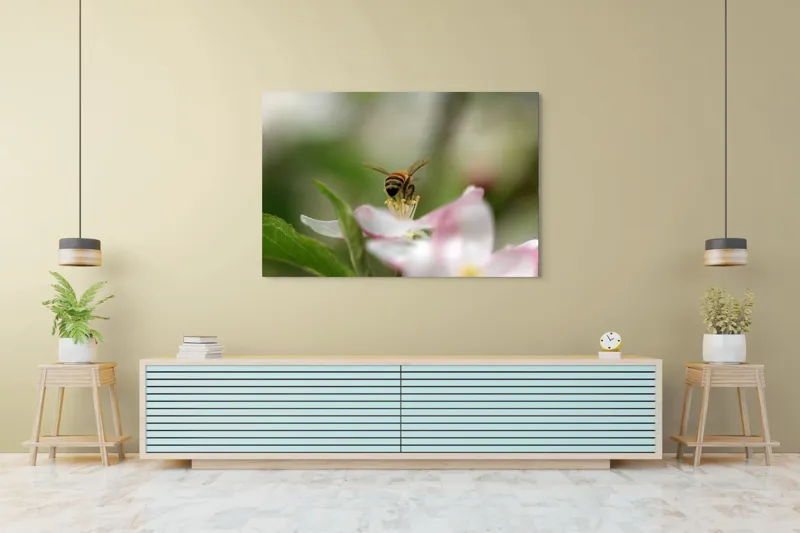 Tablou Canvas, "Albină pe floare primăvăratică", Alb, Delicat, Polenizare, Verde, Natura, Fragil, Aripi, Primavara, Foioase, Nectar., 150 x 100 cm – poza 6
