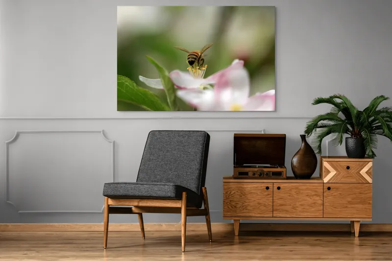 Tablou Canvas, "Albină pe floare primăvăratică", Alb, Delicat, Polenizare, Verde, Natura, Fragil, Aripi, Primavara, Foioase, Nectar., 150 x 100 cm – poza 8