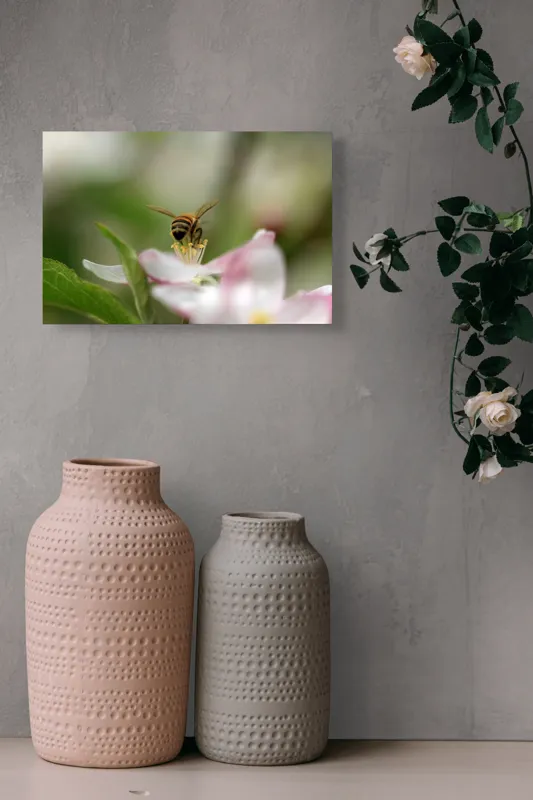 Tablou Canvas, "Albină pe floare primăvăratică", Alb, Delicat, Polenizare, Verde, Natura, Fragil, Aripi, Primavara, Foioase, Nectar., 39 x 26 cm – poza 4
