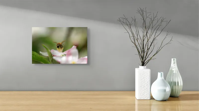 Tablou Canvas, "Albină pe floare primăvăratică", Alb, Delicat, Polenizare, Verde, Natura, Fragil, Aripi, Primavara, Foioase, Nectar., 39 x 26 cm – poza 8
