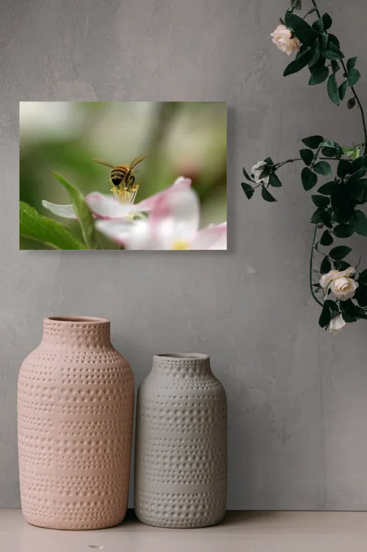 Tablou Canvas, "Albină pe floare primăvăratică", Alb, Delicat, Polenizare, Verde, Natura, Fragil, Aripi, Primavara, Foioase, Nectar., 54 x 39 cm – poza 8