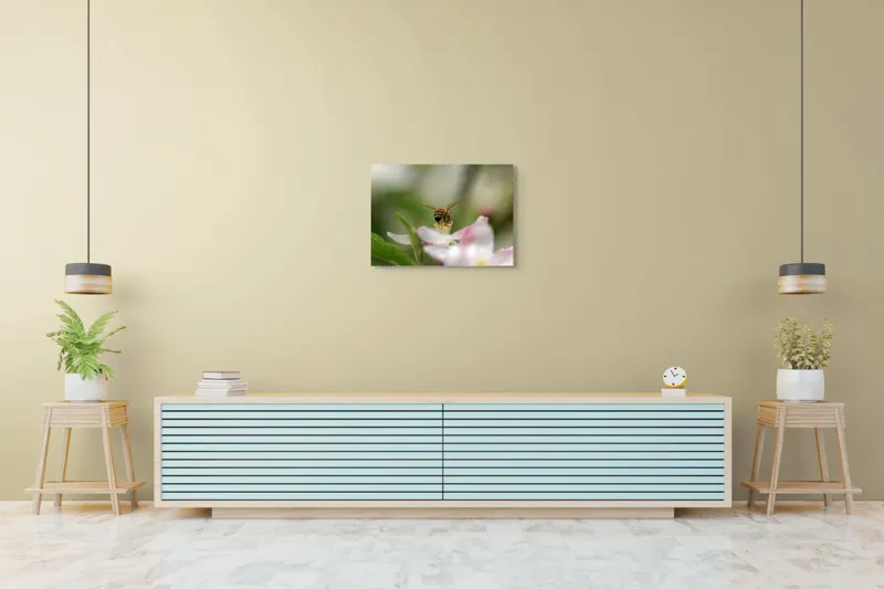 Tablou Canvas, "Albină pe floare primăvăratică", Alb, Delicat, Polenizare, Verde, Natura, Fragil, Aripi, Primavara, Foioase, Nectar., 70 x 50 cm – poza 7