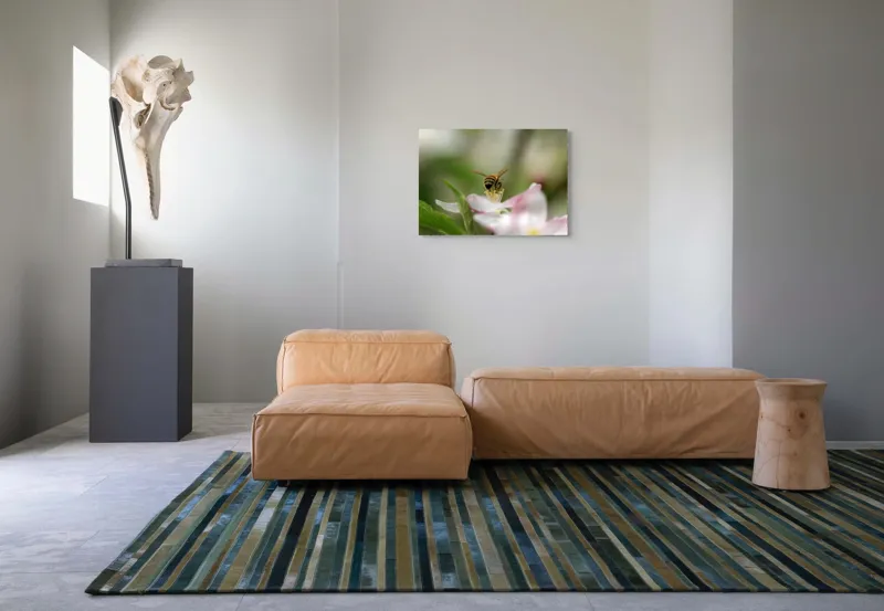 Tablou Canvas, "Albină pe floare primăvăratică", Alb, Delicat, Polenizare, Verde, Natura, Fragil, Aripi, Primavara, Foioase, Nectar., 70 x 50 cm – poza 8