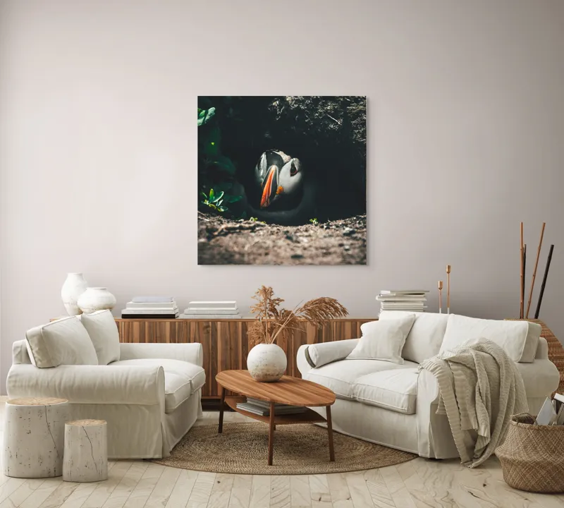 Tablou Canvas, "Puffin adăpostit în vizuină întunecată", Puffin, Vizuină, Privire, Ascunziș, Natură, Sol, Frunze, Culori, Contrast, Umbre, 100 x 100 cm – poza 3