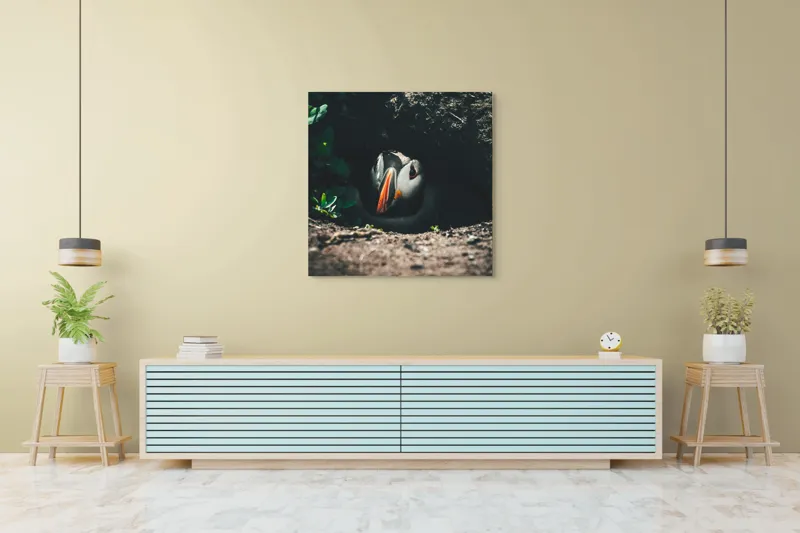 Tablou Canvas, "Puffin adăpostit în vizuină întunecată", Puffin, Vizuină, Privire, Ascunziș, Natură, Sol, Frunze, Culori, Contrast, Umbre, 100 x 100 cm – poza 5