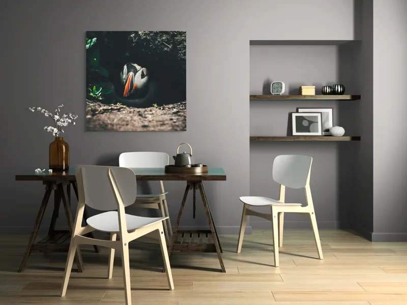 Tablou Canvas, "Puffin adăpostit în vizuină întunecată", Puffin, Vizuină, Privire, Ascunziș, Natură, Sol, Frunze, Culori, Contrast, Umbre, 100 x 100 cm – poza 6