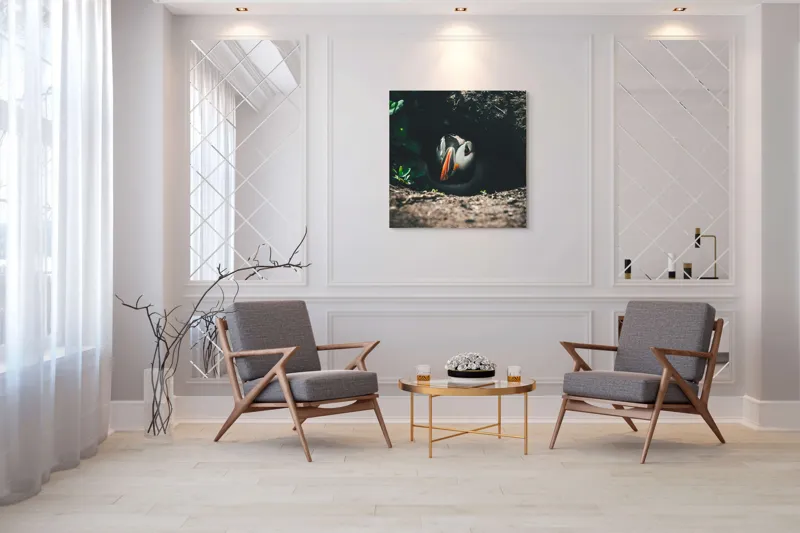 Tablou Canvas, "Puffin adăpostit în vizuină întunecată", Puffin, Vizuină, Privire, Ascunziș, Natură, Sol, Frunze, Culori, Contrast, Umbre, 100 x 100 cm – poza 7