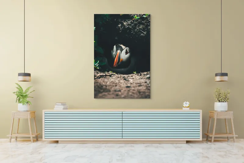 Tablou Canvas, "Puffin adăpostit în vizuină întunecată", Puffin, Vizuină, Privire, Ascunziș, Natură, Sol, Frunze, Culori, Contrast, Umbre, 100 x 150 cm – poza 4