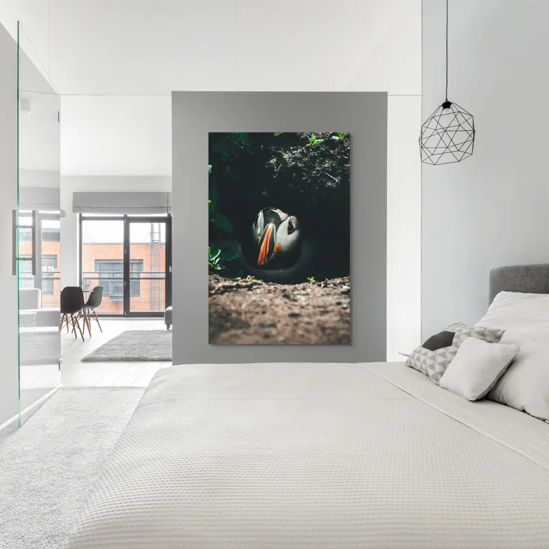 Tablou Canvas, "Puffin adăpostit în vizuină întunecată", Puffin, Vizuină, Privire, Ascunziș, Natură, Sol, Frunze, Culori, Contrast, Umbre, 100 x 150 cm – poza 5