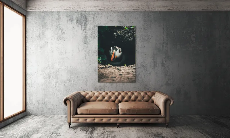 Tablou Canvas, "Puffin adăpostit în vizuină întunecată", Puffin, Vizuină, Privire, Ascunziș, Natură, Sol, Frunze, Culori, Contrast, Umbre, 100 x 150 cm – poza 6