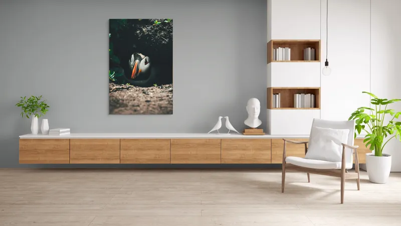Tablou Canvas, "Puffin adăpostit în vizuină întunecată", Puffin, Vizuină, Privire, Ascunziș, Natură, Sol, Frunze, Culori, Contrast, Umbre, 100 x 150 cm – poza 8