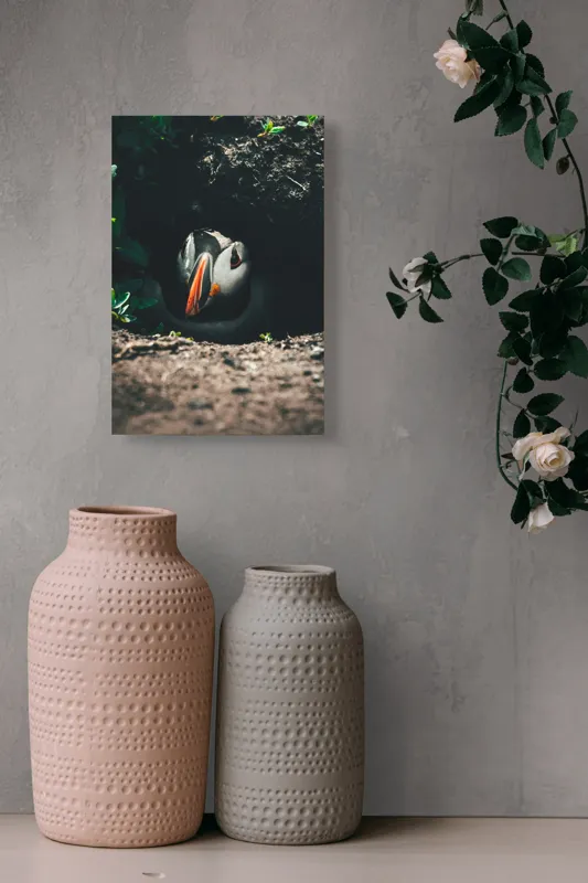 Tablou Canvas, "Puffin adăpostit în vizuină întunecată", Puffin, Vizuină, Privire, Ascunziș, Natură, Sol, Frunze, Culori, Contrast, Umbre, 26 x 39 cm – poza 6