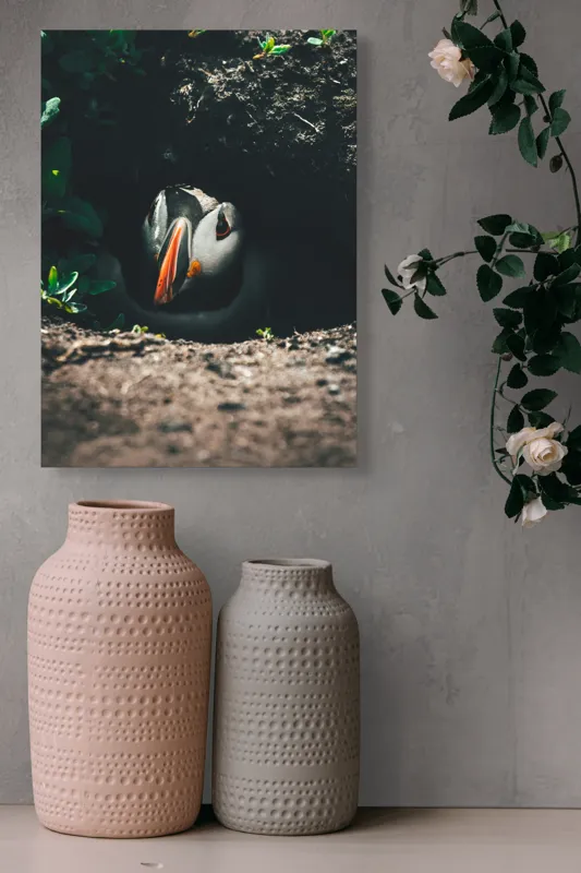 Tablou Canvas, "Puffin adăpostit în vizuină întunecată", Puffin, Vizuină, Privire, Ascunziș, Natură, Sol, Frunze, Culori, Contrast, Umbre, 39 x 54 cm – poza 6