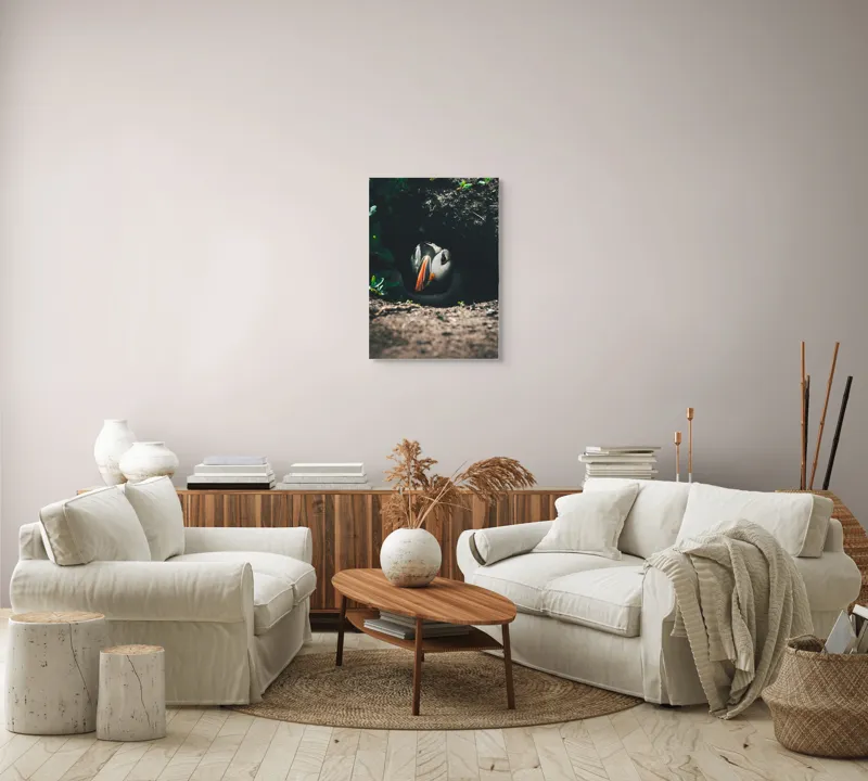 Tablou Canvas, "Puffin adăpostit în vizuină întunecată", Puffin, Vizuină, Privire, Ascunziș, Natură, Sol, Frunze, Culori, Contrast, Umbre, 50 x 70 cm – poza 4