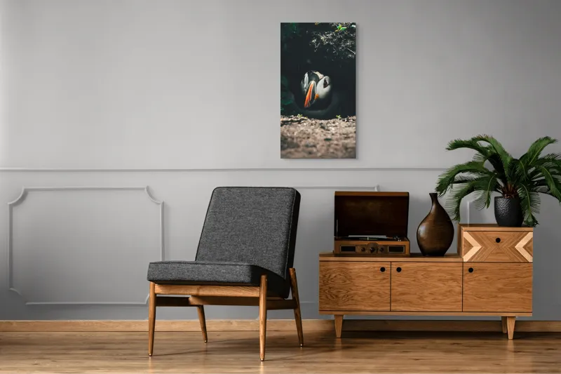 Tablou Canvas, "Puffin adăpostit în vizuină întunecată", Puffin, Vizuină, Privire, Ascunziș, Natură, Sol, Frunze, Culori, Contrast, Umbre, 50 x 90 cm – poza 8