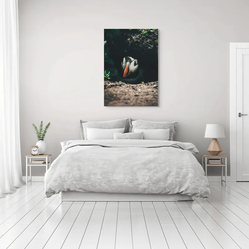 Tablou Canvas, "Puffin adăpostit în vizuină întunecată", Puffin, Vizuină, Privire, Ascunziș, Natură, Sol, Frunze, Culori, Contrast, Umbre, 70 x 100 cm – poza 3