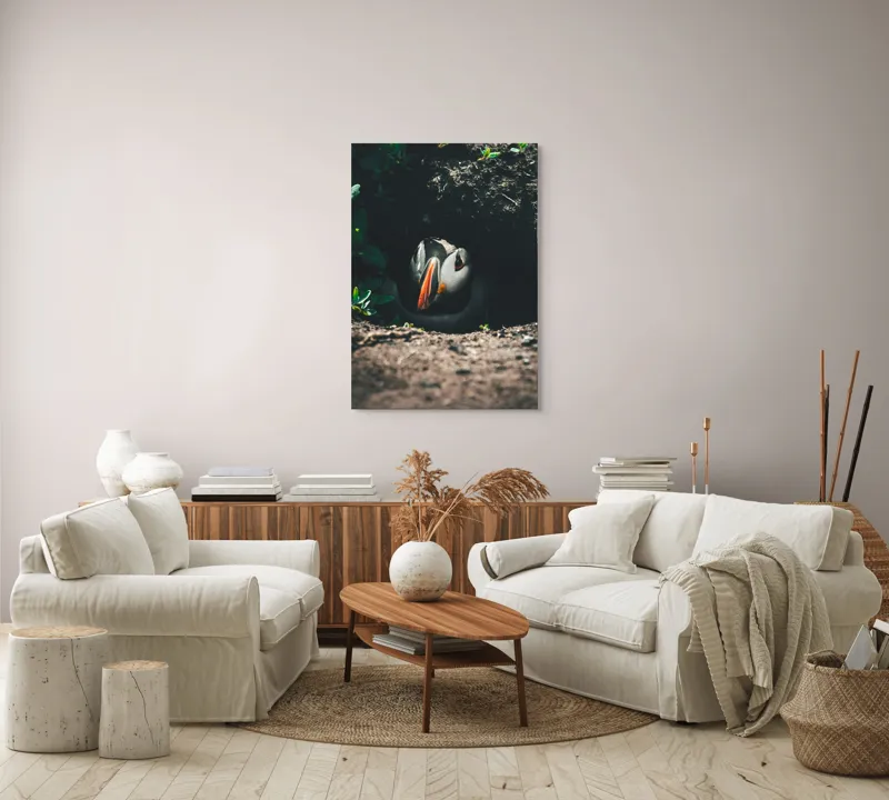 Tablou Canvas, "Puffin adăpostit în vizuină întunecată", Puffin, Vizuină, Privire, Ascunziș, Natură, Sol, Frunze, Culori, Contrast, Umbre, 70 x 100 cm – poza 4