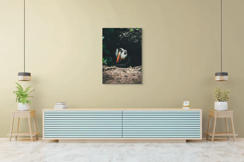 Tablou Canvas, "Puffin adăpostit în vizuină întunecată", Puffin, Vizuină, Privire, Ascunziș, Natură, Sol, Frunze, Culori, Contrast, Umbre, 70 x 100 cm – poza 5