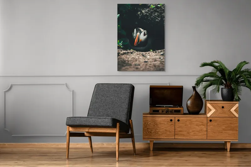 Tablou Canvas, "Puffin adăpostit în vizuină întunecată", Puffin, Vizuină, Privire, Ascunziș, Natură, Sol, Frunze, Culori, Contrast, Umbre, 70 x 100 cm – poza 6
