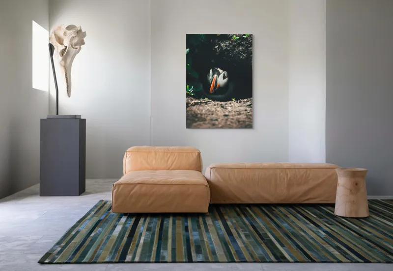 Tablou Canvas, "Puffin adăpostit în vizuină întunecată", Puffin, Vizuină, Privire, Ascunziș, Natură, Sol, Frunze, Culori, Contrast, Umbre, 70 x 100 cm – poza 7