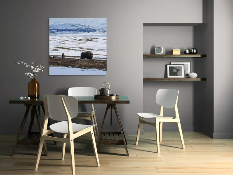 Tablou Canvas, "Moscari pe întinderile arctice ale Norvegiei", Bivoli, Zăpadă, Peisaj, Munte, Cer, Stânci, Tundră, Liniște, Natură, Câmpie, 100 x 100 cm – poza 6