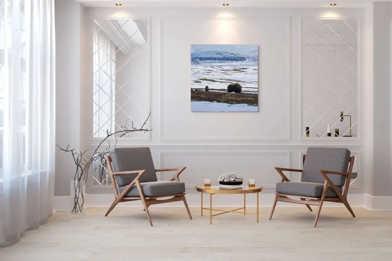 Tablou Canvas, "Moscari pe întinderile arctice ale Norvegiei", Bivoli, Zăpadă, Peisaj, Munte, Cer, Stânci, Tundră, Liniște, Natură, Câmpie, 100 x 100 cm – poza 7