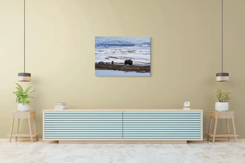 Tablou Canvas, "Moscari pe întinderile arctice ale Norvegiei", Bivoli, Zăpadă, Peisaj, Munte, Cer, Stânci, Tundră, Liniște, Natură, Câmpie, 100 x 70 cm – poza 4