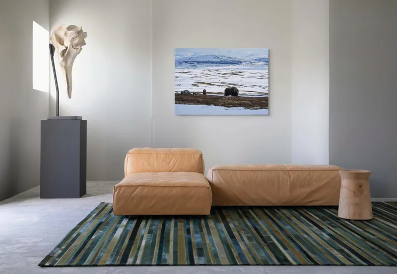 Tablou Canvas, "Moscari pe întinderile arctice ale Norvegiei", Bivoli, Zăpadă, Peisaj, Munte, Cer, Stânci, Tundră, Liniște, Natură, Câmpie, 100 x 70 cm – poza 7